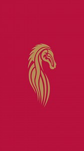 Everyone is buzzing for the races! Be ready for The Galway Races 3-Day October Festival, 28th, 29th & 30th. Begin planning your Galway excursion today! | Galway Races