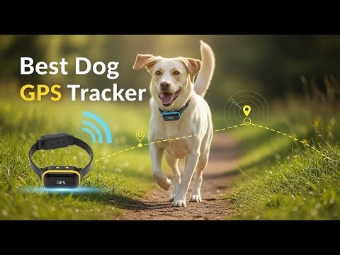 TOP 5 Best Dog GPS Tracker 2025 | Dog GPS Trackers You Need