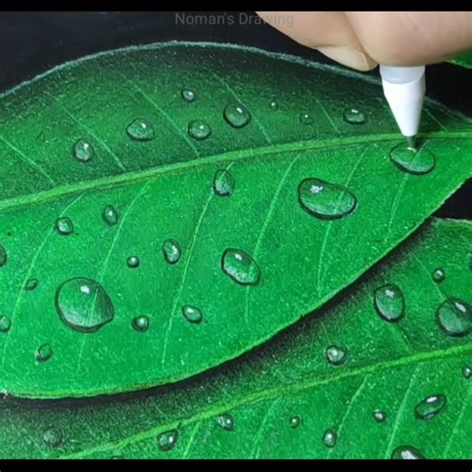 Water Drops On Leaves #3d #drawing #art | Noman Art