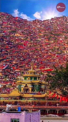 హిమాలయాల్లో ప్రపంచానికి తెలియని ఒక ఎర్రటి రహస్యం: లారుంగ్ గర్ ! Larung Gar in Tibet #teluguvideo