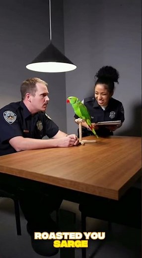 Parrot Roasts Police During Interrogation 😂🦜 #funny #talkingparot #viral #parrot #funnyparrot