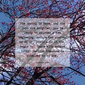 13K views · 1.3K reactions | The spring is here… | Thoughtfultable.com | Facebook