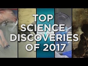 Top science discoveries of 2017