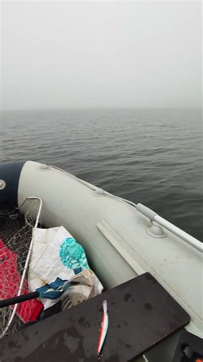 Winter trolling in the fog! Pike on wobblers! #fishing #pike #fishmirok