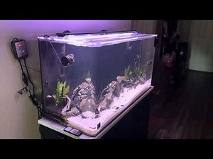 Clear for Life 90 gallon Aquarium setup