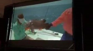 Off The Chain Fishing Charters, Fishing Charters in Stuart Fl on Reels | Facebook