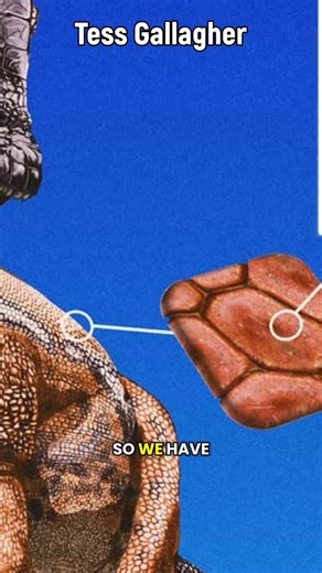 Dino Guy | Tess Gallagher et al. Have just posted an amazing study detailing their findings of Diplodocus skin impressions! Our understanding of... | Instagram