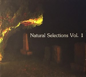 Various - Natural Selections Vol. 1
