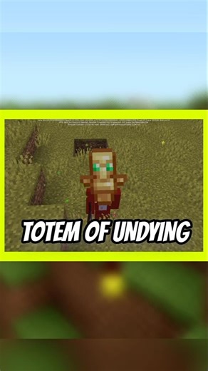 What's the Rarest Thing in Minecraft ?🤔!!