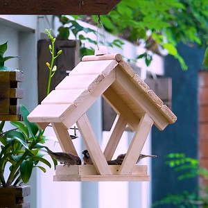 How to make bird feeder from solid wood - Wooden Craft Ideas | Woodworking Tools