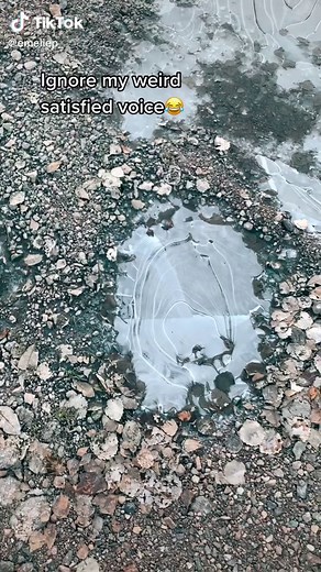 Emelie who? på TikTok