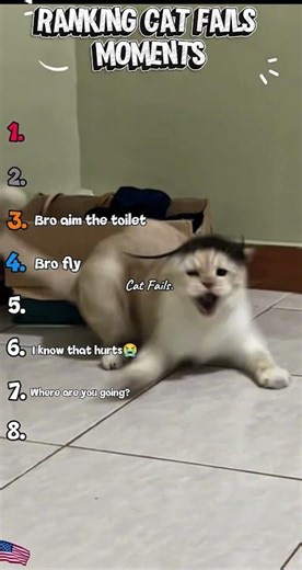 Ranking Cat Fails Moments #shorts #cat #funny