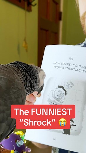 Why’s the birds voice so deep 😂 #talkingparrot #learning #animaltraining #training #learning #smartbird #parrotsoftiktok #parrot #birds #funny #funnyanimals #africangrey #amazinganimals