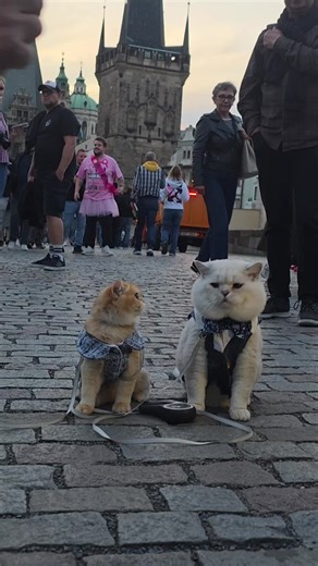 Tricks for treats in Prague! We can't wait to travel again, what a fun time!