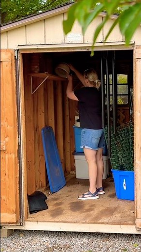 Major Shed Declutter and Organize | Practical Shed Organization Tips