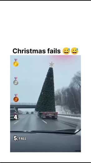 The sarcasm world on Instagram: "Christmas fails are a special kind of chaotic humor, blending holiday cheer with moments of unexpected disaster, often creating stories that are retold for years. Despite careful planning, the season’s high energy, tight schedules, and emotional expectations make it ripe for mishaps. Sometimes, the fails are culinary. A turkey burned to a crisp, cookies that collapse into piles of dough, or a cake that refuses to rise can turn hours of effort into an amusing disa