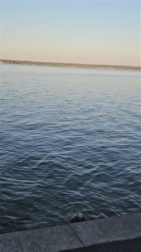 Beautiful Cayuga Lake