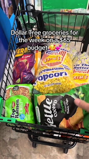 Dollar Tree Haul: Groceries on a $65 Budget