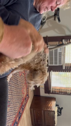 Mike Hanson on Reels