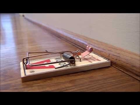 Victor Metal Pedal Wooden Mouse Trap