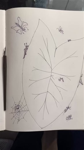 I’m talking in behalf of The Amazonia & it’s most beautiful smallest animals: The insects, some bite! It’s ok but most are pollinators, Guardians of the jungles…For every 500.000 of them in Amazonas, there is 0.1 % in North America. Why to kill them with Bifosfato? Please Stop that Nonsense! Hablo en defensa de La Amazonia y sus más pequeños e indefensos habitantes: Los insectos, polinizadores y guardianes de la selvas, en Norte America hay un insecto por cada 500.000 que en Sir American! Deseo 