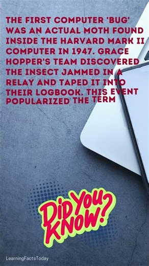 The SHOCKING Truth Behind the First Computer Bug!