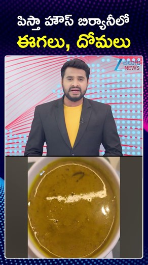 Flies Found In Pista House Biryani | పిస్తాహౌస్‌ బిర్యానీలో ఈగలు అవాక్కయిన కస్టమర్లు | ZEE News