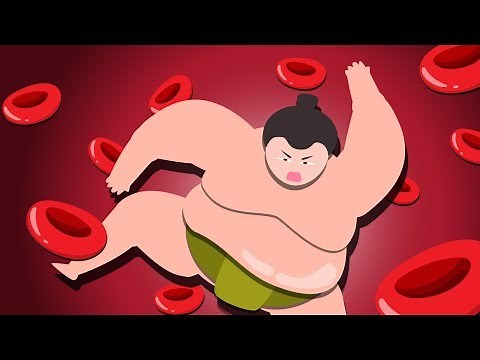 How sumo wrestlers stay healthy on 29,000 kilojoules a day