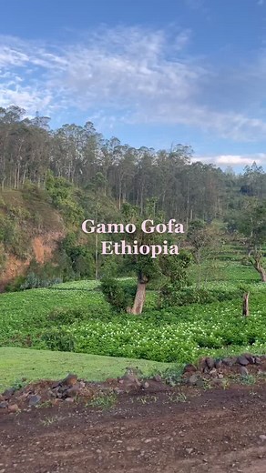 Discover Gamo Gofa: A Guide to Ethiopian Nature