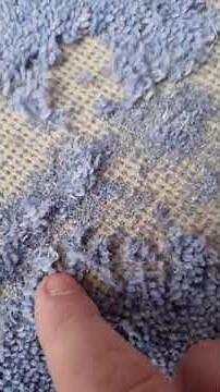 Carpet Moths Are DESTROYING Your Home Now