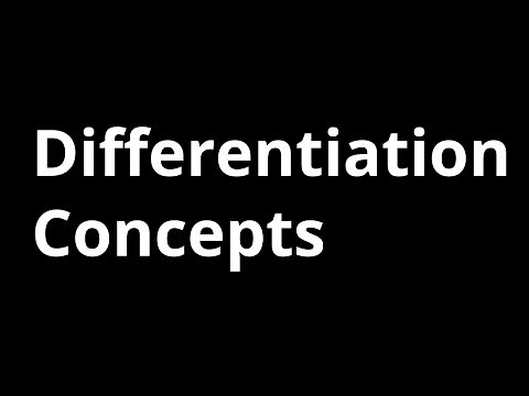 Differentiation Concepts for Physics
