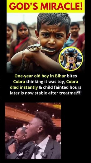 one year old Bihar boy bite Cobra snake and snake dead l #bihar #boy #cobra