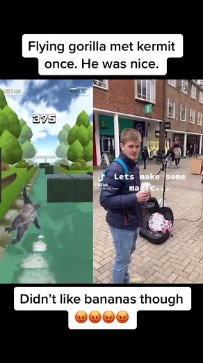 #fyp #foryou #meme #memes #funny #kermit #animal #funny #kermitthefrog #flyinggorilla #foryoupage @south_by_zero