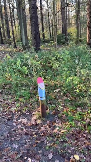 Buurvrouwen Wilma van der Ham en Desiree Bogert plaatsen al een paar jaar kabouters in het Dijkgatbos in Wieringerwerf. Telkens zetten ze er weer een paar bij, maar elke keer verdwijnt er ook weer een aantal. Het meest recent geplaatste kaboutervolk, zo’n stuk of 15, is sinds deze week helemaal weg. ,,Wie doet nou zoiets”, vraagt Wilma zich hardop af. | NHD - Schager Courant
