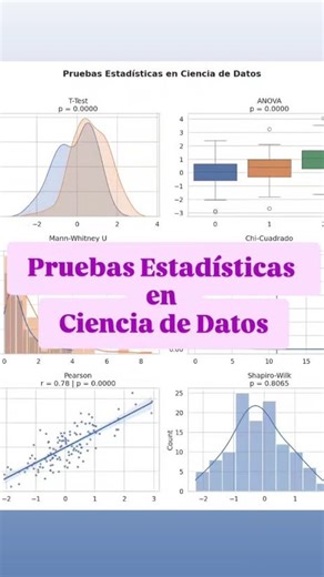 Gladys Choque Ulloa on Instagram: "📊 𝗣𝗿𝘂𝗲𝗯𝗮𝘀 𝗘𝘀𝘁𝗮𝗱𝗶́𝘀𝘁𝗶𝗰𝗮𝘀 𝗖𝗹𝗮𝘃𝗲 𝗲𝗻 𝗖𝗶𝗲𝗻𝗰𝗶𝗮 𝗱𝗲 𝗗𝗮𝘁𝗼𝘀: Inferencia, validación y decisiones basadas en datos 📊 En Ciencia de Datos no solo construimos modelos: inferimos, validamos y tomamos decisiones basadas en evidencia. Cada vez que comparamos algoritmos, evaluamos un A/B test o verificamos si una variable tiene un efecto significativo, estamos aplicando pruebas estadísticas. 1️⃣ Fundamentos: hipótesis y significancia. �