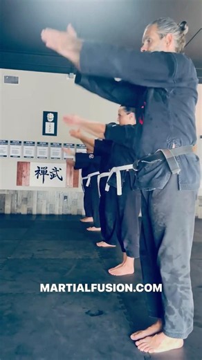 Martial Fusion Zenbu Dojo Warmup Exercises