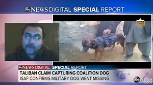 Taliban Brags About Latest Captive -- a Dog