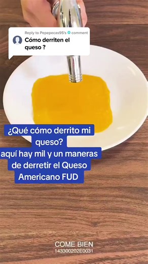 Maneras de Derretir Queso Americano