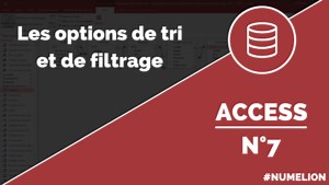 Les différentes options de tri et filtrage dans Access - Cours n°7
