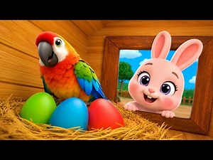 Colorful Birds Sing | Chirp Chirp All Day Long | Kids Learning Video