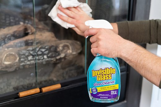 Best Glass Cleaners (2025 Review)