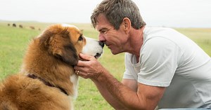 A Dog's Purpose