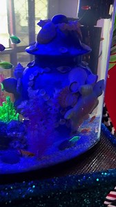 #mff #olokun #orishas #santeria #fypシ | Santeria Yoruba Cuenta Oficial