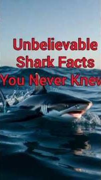 Unbelievable Shark Facts You Never Knew!#SharkFacts #Sharks