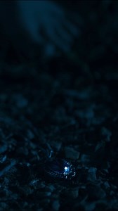 Ultra-furchteinflößender Grusel-Horror – "Trinket Box" Trailerrelease morgen! Das frisch verheiratete Paar Ava und Mike zieht in ein neues Haus. Ava lernt die nette Nachbarin Mrs. Davis kennen, die ihr eine Kette in einer alten Schmuckschatulle schenkt. Unwissentlich erweckt Ava dadurch eine bödr, alte Macht, die das Paar ins Visier genommen hat. Unwirkliche Ereignisse häufen sich. Nicht nur die Beziehung des Paares ist in Gefahr, auch ihr Leben soll zerstört werden. | Bloody movies