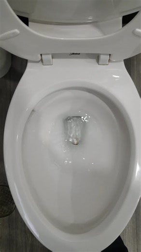 American Standard Townsend Vormax Toilet