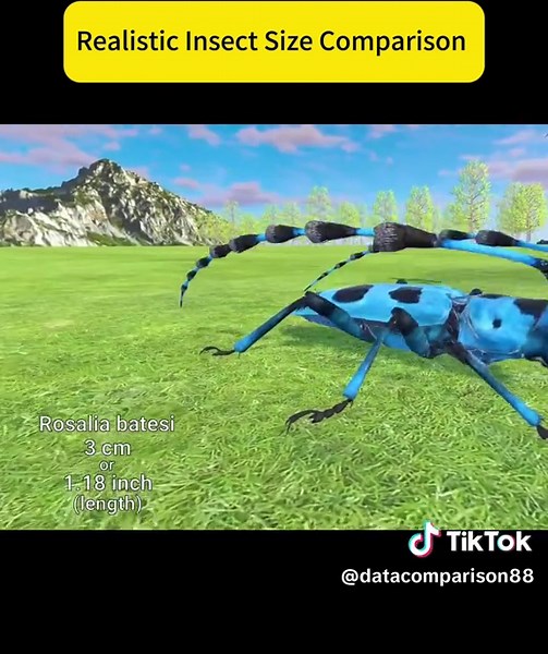 Realistic Insect Size Comparison for Curious Minds