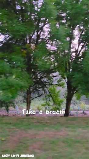 Relaxing drive through the fog🌲🎶 Upbeat bedroom pop & Lo-Fi mix