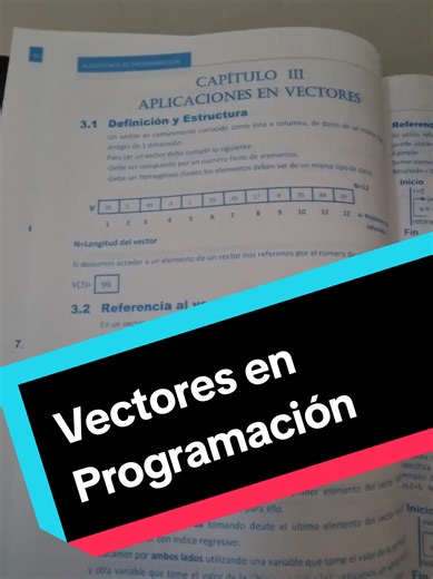 Vectores en Programación: Estructura y Ejemplos Clave