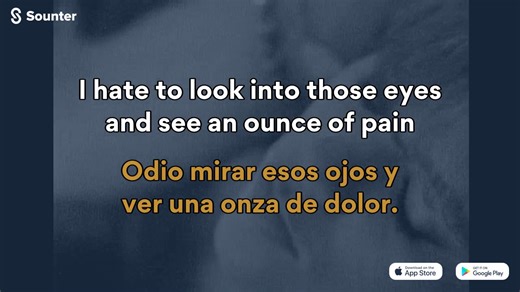 159K views · 6.4K reactions | Aprende inglés con música. Descarga la App Sounter (IOS/Android/WEB): https://land.sounter.com?s=D | Sweet Child O’ Mine de Guns N’ Roses (Traducida al español). | Sounter | Facebook